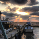 السفن تعانق شعاع الشمس - تصوير: خليل